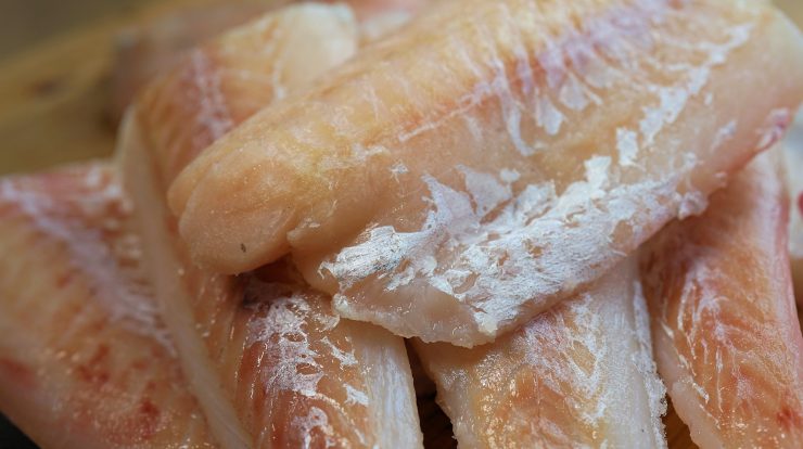 tum haberlerimiz kadin balikcilar dernegi tum haberlerimiz kadin balikcilar dernegi