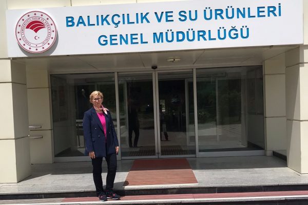 bakanlık2